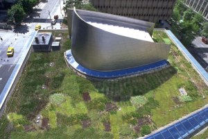 Green Roof 1