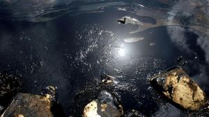 Green Halo - 168,000+ Gallons of Oil Spills into Galveston Bay