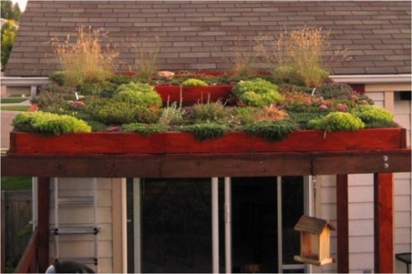 Bousselot-green-roof